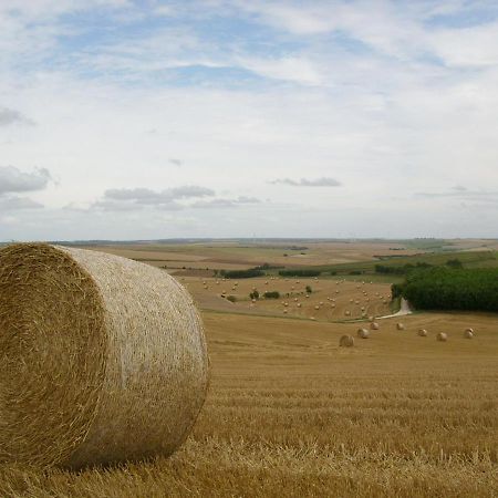 Gite Rural Le Bois Roger Widehem Kültér fotó