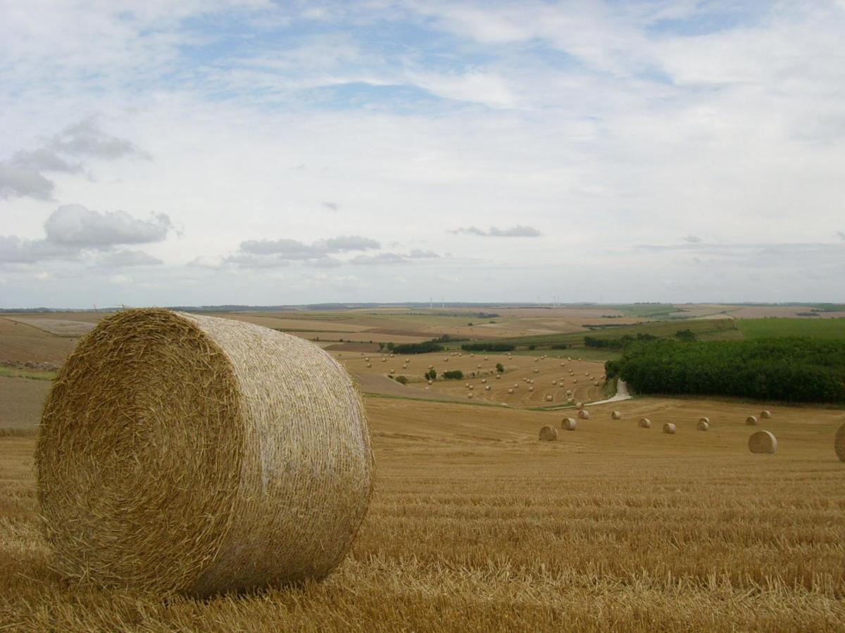 Gite Rural Le Bois Roger Widehem Kültér fotó